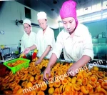 ISO food/ vegetables/potatoes/tomoto machine factory