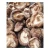 Import Japanese delicious premuin edible shelf life dried mushrooms from Japan