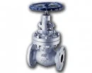 Japanese Industrial Globe Valves, Gate Valves, Swing Check Valves For LNG, Looking For Distributors In Thailand
