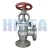 Import JIS standard Marine cast steel angle valve from China