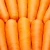 Import Large quantities of perennial sales of fresh carrots from China