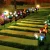 Import LED Outdoor Solar Garden Lights Multicolor Solar Power Lily Flowers Light for Patio Yard Decoration from China