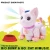 Import Lovely kids electronic pet battery operated toy cat with bump n go and music from China