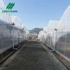 Low price easy assembly tomato agricultural equipment multi-span plastic film greenhouse