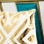 Import Luxury Foil Gold  Velvet Pillow Case from China