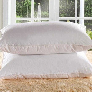 Luxury Living room Eider Bed Pillow