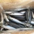 Import Mackerel Prices Block Frozen Pacific Mackerel Fish Seafood from China