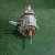 Manual Transmission Gearbox for Toyota Hiace/Hilux/Land Cruiser