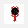 Manufacturing  Cast Iron Lug Type Manual Butterfly Valve Price
