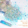 Massive Selection for Holographic Chameleon Transparent Rainbow Nail Art Flake Pigment Powder