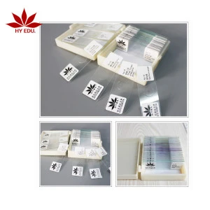 Mixed prepared microscope slides fungi and bacteria slides for higher education