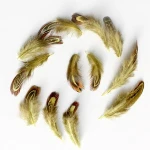 Multifunctional chicken/ostrich/peacock feather fans for performance