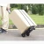Import Multipurpose Lightweight Convenient Plastic Portable Foldable Trolley  Hand Trolley Cart With 4 Wheels from China