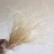 Import natural real feather flowers in packs for valentine day from China