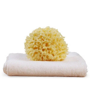 Natural Soft Baby Bath Sponge for Baby Shower