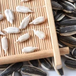 new crop chinese roasted sunflower seeds