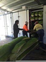 New Technology  Hydroponic Feed Growing System For Animal Feed | Automated Fodder Sprouting Machine