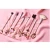 Import No brand beauty Sailor Moon makeup brushes from China