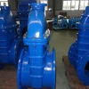 non-rising stem resilient seated gate valve