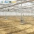 Import NSR Greenhouse Low Cost Economical Plastic Film Vegetable Green House from China