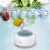 Import Olansi New Portable Remove Pesticide Disinfection Fruit and Vegetable Purifier Vegetables Food Sterilizer For Kitchen from China