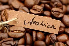 Organic Arabica Coffee Beans/ 100% Organic Coffee Beans
