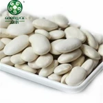 Organic Cultivation Type Dry White Alubia Kidney Bean and Pea