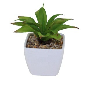 Ornamental plants bonsai artificial tree glass pot for plants