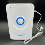 Ozonator Air Purifiers 400mg/h Vegetable Meat Fresh Purify Air Water House Ozone Generator