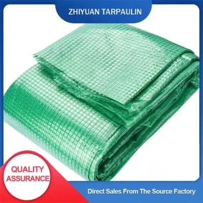 PE Clear Green Transparent Poly Sheeting Leno Tarp for Greenhouse Outdoor