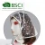 Import PE transparent printed rain cap rain hat from China