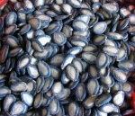 Peeled and Ground Melon Seeds- Egusi