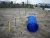 Import Pet Agility Training kit Equipment Dog Play Run Jump Game Obedience Set from China