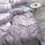 Import PLA 100% biodegradable ice silk  high end bedding set linen bedroom comforter set from China