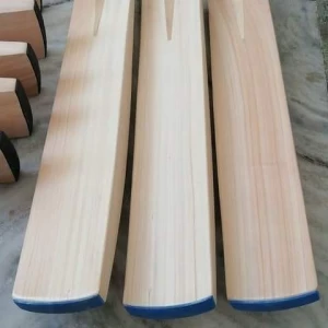 Plain English willow cricket bats