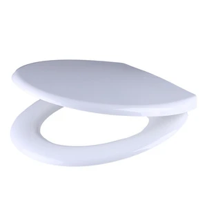 Plastic soft close toilet lid with quick release function