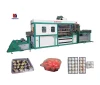 Plastic Thermoforming Machine Processing Type Plastic Cup Product Blister Forming Machine