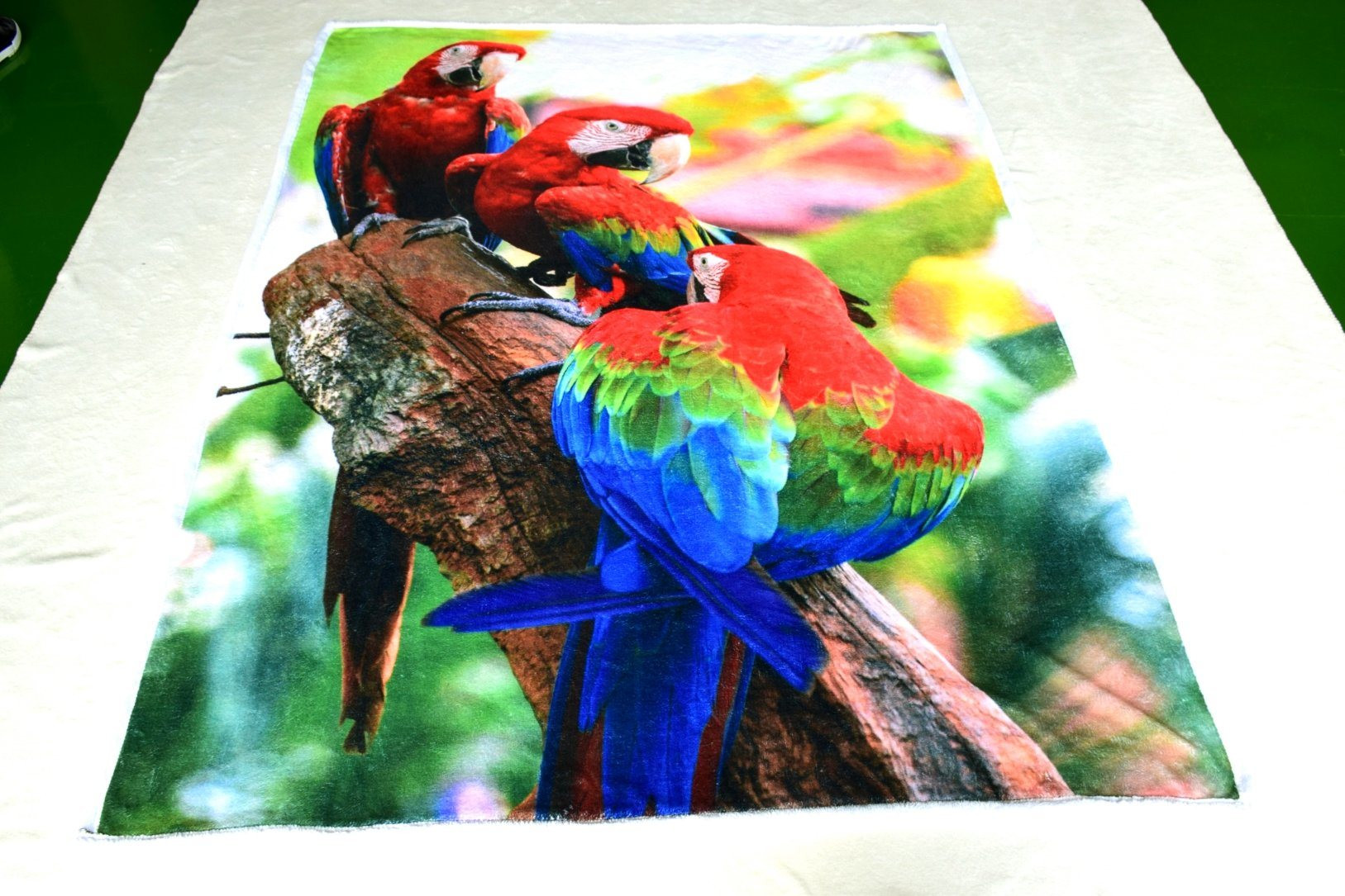 Polyester Custom Landscape Sketch or Natural Scenery Digital Printed Fleece Blanket