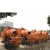 Import portable 30m3/h concrete mixer pump electric trailer concrete pumps with mixer from China
