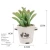 Import Pot Decoration Home Accessories Customized 6 Styles Plastic 12 Cm High Mini Plants Artificial Succulent Bonsai Potted Plant from China