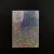 Import Pp Plastic Card Laser Flashing Penny Holo Sleeve Holographic Card Sleeve Star from Pakistan