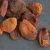 Import Premium Grade organic dried apricots seedless dried fruit from Germany