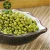 Import Price of Dried Green Mung Beans/Masoor Dal/ Green Moong Beans from China