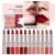 Import Private Label Beauty Cosmetics Multi-Colored Lip Makeup Matte Waterproof Liquid Lipstick 2 in 1 Lip Gloss from China