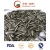 Professional Exporting Sunflower Seeds for Global Markets