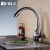 Import Professional Single Hole CUPC Sink Mixer Tap Solid Brass Polish Kitchen Faucet from China