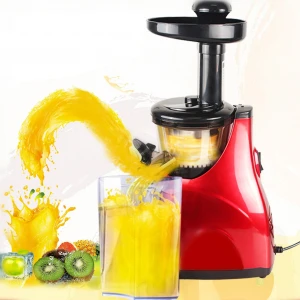 Quiet motor ,cold press fruit and vegetable juice Slow masticating juicer extractor
