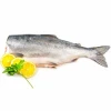 Red Fish Frozen Natural Pink Salmon from Russia Sakhalin