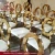 rental furniture metal frame modern gold banquet dining chair