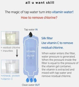 RianKorea Vitamin C and Copper Peptide Shower Filter (Rose Incense)-Remove Residual Chlorine &amp; rust